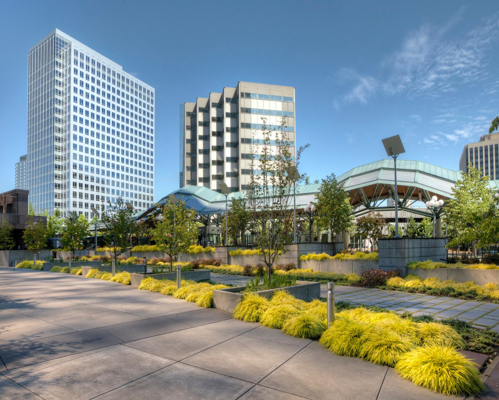 Concrete sidewalk in industrial park, Bellevue, Washington, United States